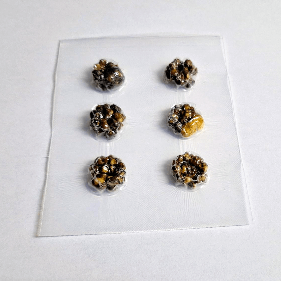 Psilol - Afbeelding 2