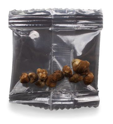 Mondo Microdosis 10 x 1g